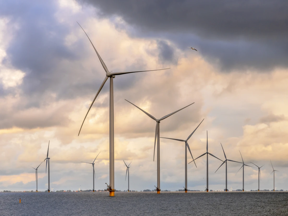 Ma Prime Renov Jaune 2024 : un levier pour une transition énergétique réussie