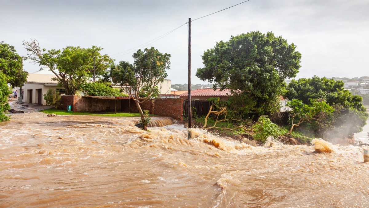 Investir en zone inondable : Risques et opportunités dans un marché immobilier en eaux troubles